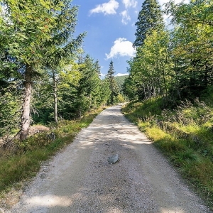 sniezne-kotly-fot-ewajak13