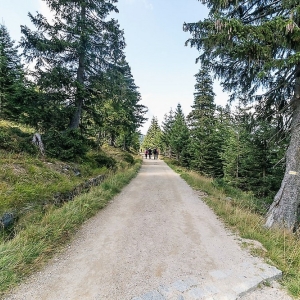 sniezne-kotly-fot-ewajak14