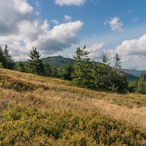 sniezne-kotly-fot-ewajak23