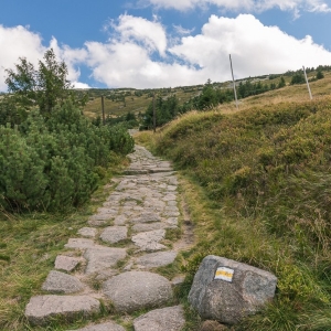 sniezne-kotly-fot-ewajak25