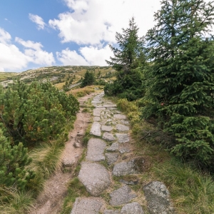 sniezne-kotly-fot-ewajak26