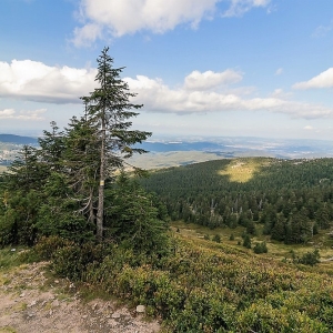 sniezne-kotly-fot-ewajak28