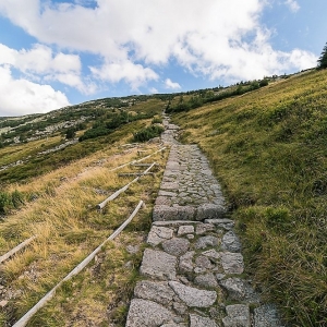 sniezne-kotly-fot-ewajak29