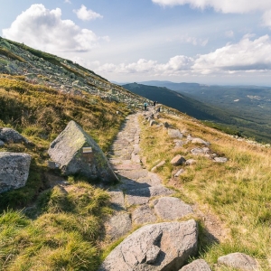 sniezne-kotly-fot-ewajak41