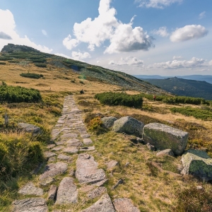 sniezne-kotly-fot-ewajak42