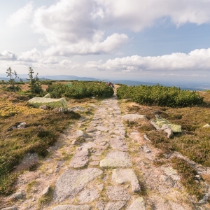 sniezne-kotly-fot-ewajak59