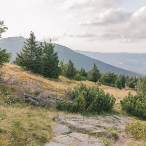 sniezne-kotly-fot-ewajak66