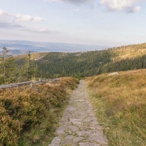 sniezne-kotly-fot-ewajak67