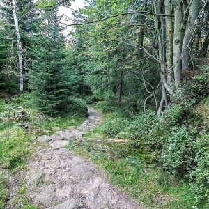 sniezne-kotly-fot-ewajak70