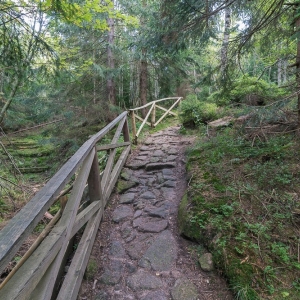 sniezne-kotly-fot-ewajak71