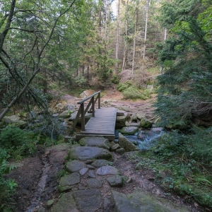 sniezne-kotly-fot-ewajak72
