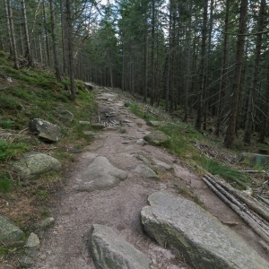 sniezne-kotly-fot-ewajak73