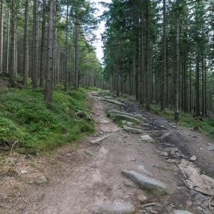 sniezne-kotly-fot-ewajak74
