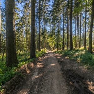 wieza-na-jagodnej-fot-ej40