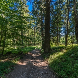 wieza-na-jagodnej-fot-ej41