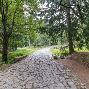pielgrzymi-slonecznik-strzecha-fot-ewa-jakubowska02