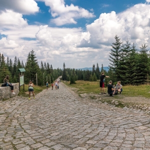 pielgrzymi-slonecznik-strzecha-fot-ewa-jakubowska04