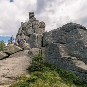 pielgrzymi-slonecznik-strzecha-fot-ewa-jakubowska19