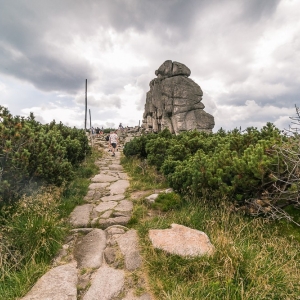 pielgrzymi-slonecznik-strzecha-fot-ewa-jakubowska30
