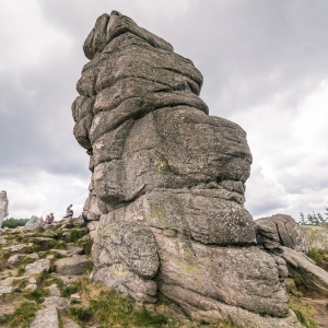 pielgrzymi-slonecznik-strzecha-fot-ewa-jakubowska31