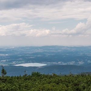pielgrzymi-slonecznik-strzecha-fot-ewa-jakubowska35