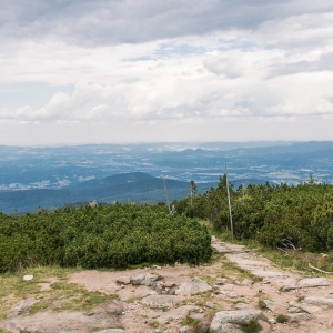 pielgrzymi-slonecznik-strzecha-fot-ewa-jakubowska36