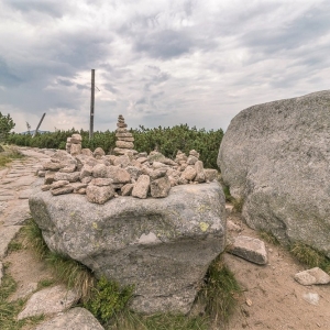 pielgrzymi-slonecznik-strzecha-fot-ewa-jakubowska39