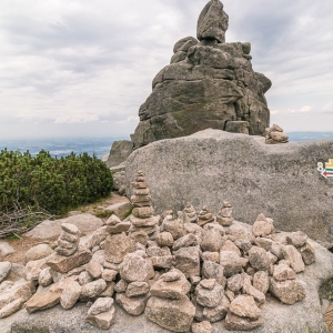 pielgrzymi-slonecznik-strzecha-fot-ewa-jakubowska40