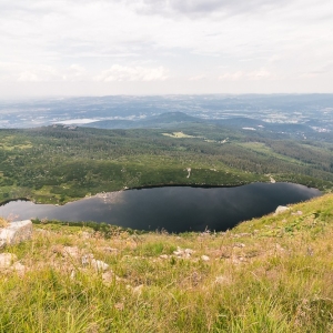 pielgrzymi-slonecznik-strzecha-fot-ewa-jakubowska50