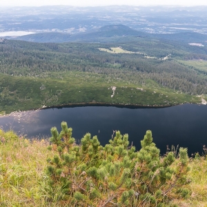 pielgrzymi-slonecznik-strzecha-fot-ewa-jakubowska53