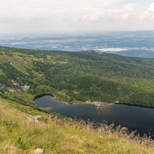 pielgrzymi-slonecznik-strzecha-fot-ewa-jakubowska54
