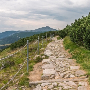 pielgrzymi-slonecznik-strzecha-fot-ewa-jakubowska55