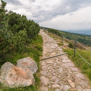pielgrzymi-slonecznik-strzecha-fot-ewa-jakubowska56