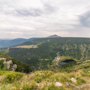 pielgrzymi-slonecznik-strzecha-fot-ewa-jakubowska57