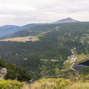 pielgrzymi-slonecznik-strzecha-fot-ewa-jakubowska58