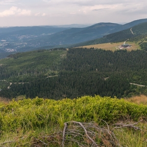 pielgrzymi-slonecznik-strzecha-fot-ewa-jakubowska59