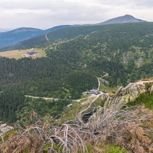 pielgrzymi-slonecznik-strzecha-fot-ewa-jakubowska60