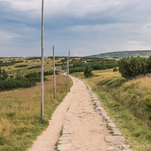 pielgrzymi-slonecznik-strzecha-fot-ewa-jakubowska66