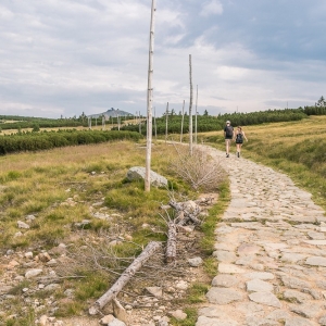 pielgrzymi-slonecznik-strzecha-fot-ewa-jakubowska67