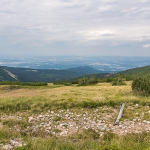 pielgrzymi-slonecznik-strzecha-fot-ewa-jakubowska68
