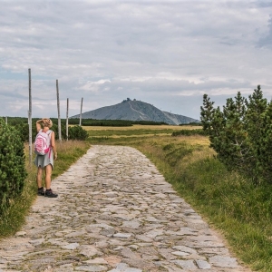 pielgrzymi-slonecznik-strzecha-fot-ewa-jakubowska70