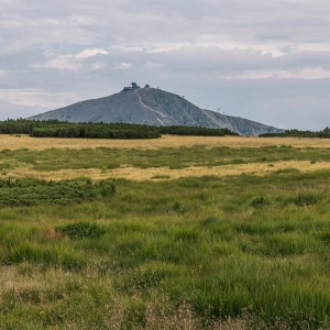 pielgrzymi-slonecznik-strzecha-fot-ewa-jakubowska71