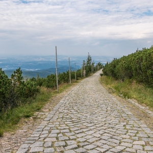 pielgrzymi-slonecznik-strzecha-fot-ewa-jakubowska74