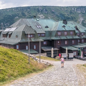 pielgrzymi-slonecznik-strzecha-fot-ewa-jakubowska76