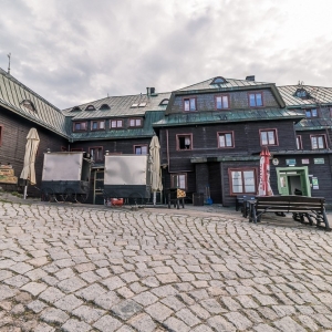 pielgrzymi-slonecznik-strzecha-fot-ewa-jakubowska77