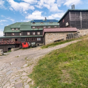 pielgrzymi-slonecznik-strzecha-fot-ewa-jakubowska78