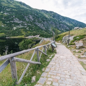 pielgrzymi-slonecznik-strzecha-fot-ewa-jakubowska83