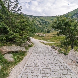 pielgrzymi-slonecznik-strzecha-fot-ewa-jakubowska90