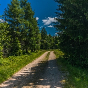 hala-szrenicka-fot-ewajak03
