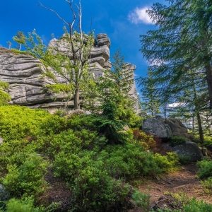 hala-szrenicka-fot-ewajak10